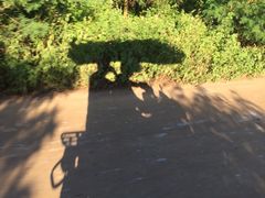 -硇洲岛旅游区