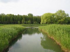 -苏州太湖湖滨国家湿地公园