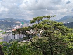 -狮子山郊野公园