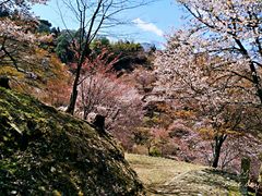 -富士山吉田線五合目
