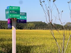 -嘉北郊野公园