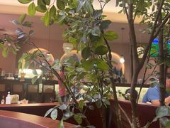 -墨纪Mojí墨西哥餐厅(官舍店)