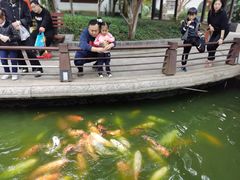 -荆川公园