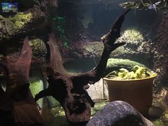 -太平洋海底世界