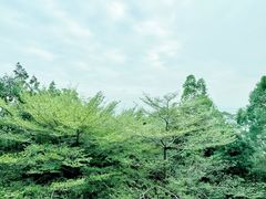-龙头山森林公园·停车场