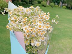 -双季花艺园艺市场(浦东店)