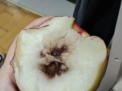 -叶氏兄弟果业(大连鲁迅店)