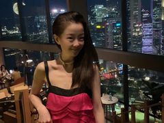 -新加坡瑞士史丹福酒店