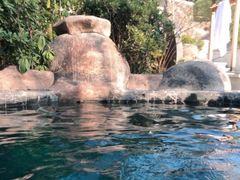 -金孔雀温泉旅游度假村