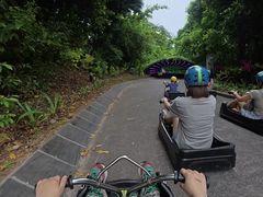 -圣淘沙天际线斜坡滑车