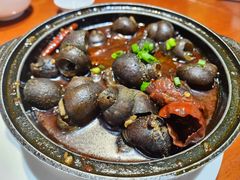 麻辣田螺煲-燕江楼(燕东店)