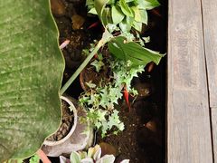-邈墨茶馆(大兜路1号店)