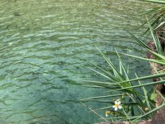 -南海湾森林生态园