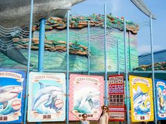 -海合安武汉极地海洋公园