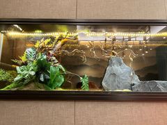 -梁家大院•农家菜(马陆店)