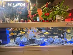 -黄鱼炙夜·烧烤·小龙虾(星荟广场店)
