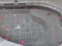 -碧水湾温泉