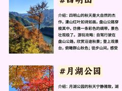 -四明山国家森林公园