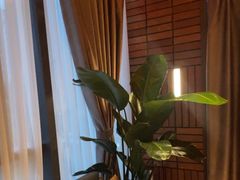 -泰合玺·精油疗愈SPA(狮山天街生活广场店)