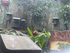 -香港海洋公园