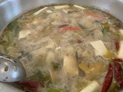 -贡椒鱼老店·雅安十大名店