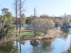 -上海长兴岛郊野公园