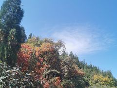 -黄花溪