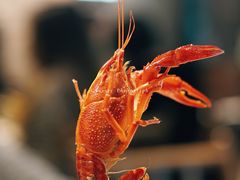 -霸王虾·麻辣小龙虾(清水河公园店)