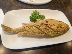 -老牌坊鲁菜名店(聊城美食岛店)