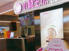 -小杨生煎(湟普汇店)