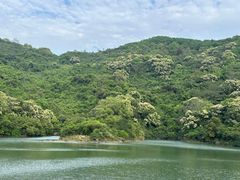 -东莞市大岭山森林公园