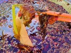 -胖子鱼·天水麻辣鱼火锅(秦州407店)