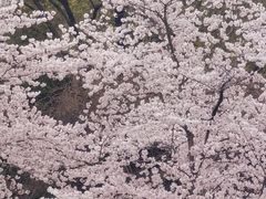 -玉山公园