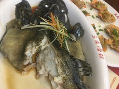 清蒸石斑鱼-渔友鲜海鲜加工(海鲜大世界店)