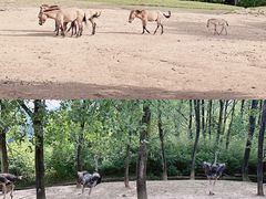 -杭州野生动物世界