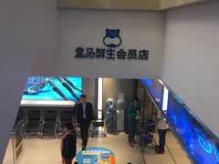 -盒马鲜生(大成店)