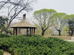 -元大都城垣遗址公园