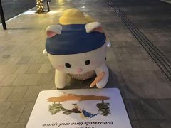 -深圳湾万象城(南山店)