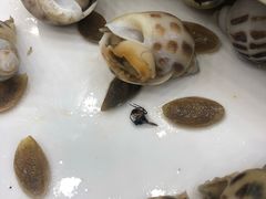 -湛江渔港·大排档(乐园路总店)