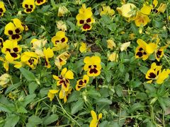 -华润万家超市(锦江翡翠城店)