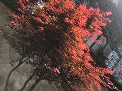 -杭州黄龙洞