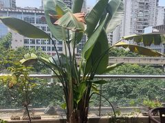 -端艾堂·SPA·艾灸(鸳鸯006店)