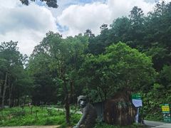 -姑婆山旅游区
