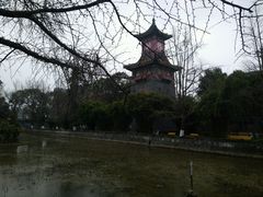 -四川大学(华西校区)