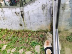 -黔灵山公园