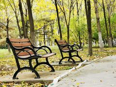 -大兴滨河森林公园