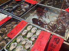 -湛江渔港·大排档(乐园路总店)