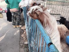 -祥源·阜阳生态乐园