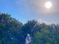 -滆湖低碳生态公园
