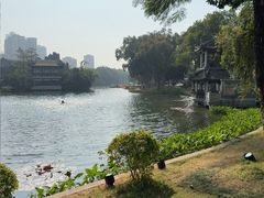 -荔湾湖公园